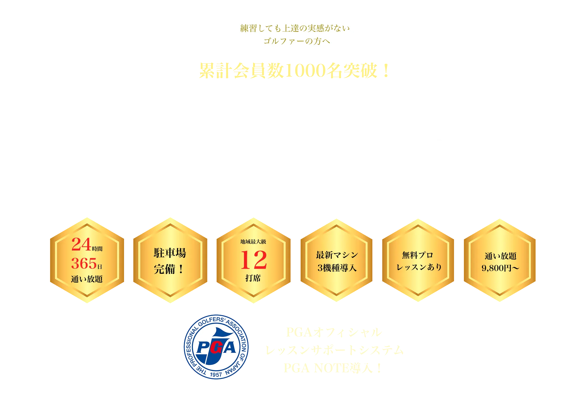 トライホークスFVトップ